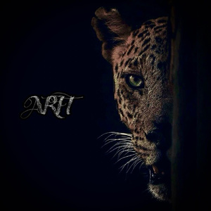 国产成人亚洲高清
